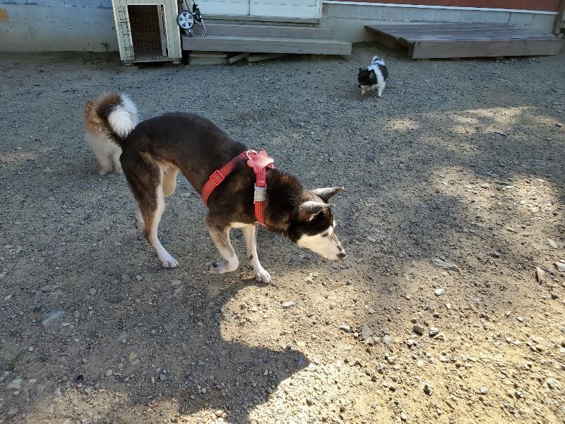 f:id:roukenhome-ann:20190909053247j:plain
