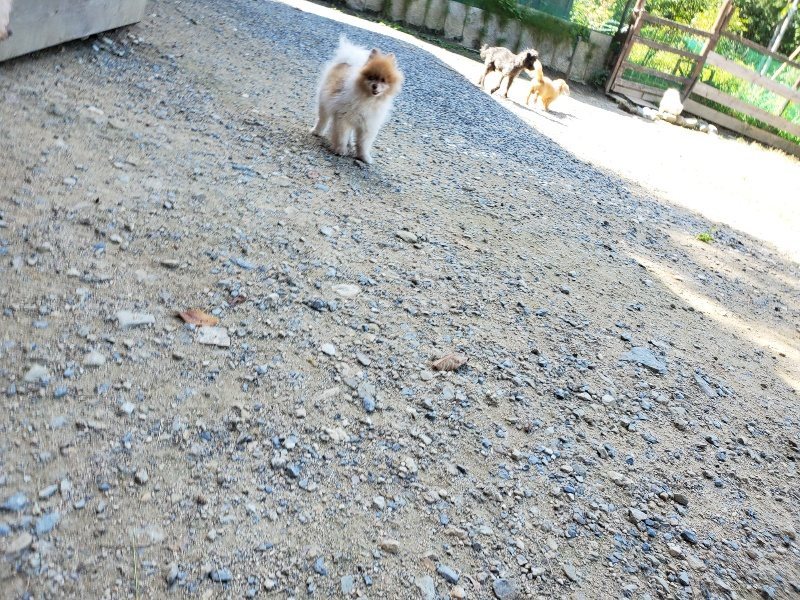 f:id:roukenhome-ann:20190909063805j:plain