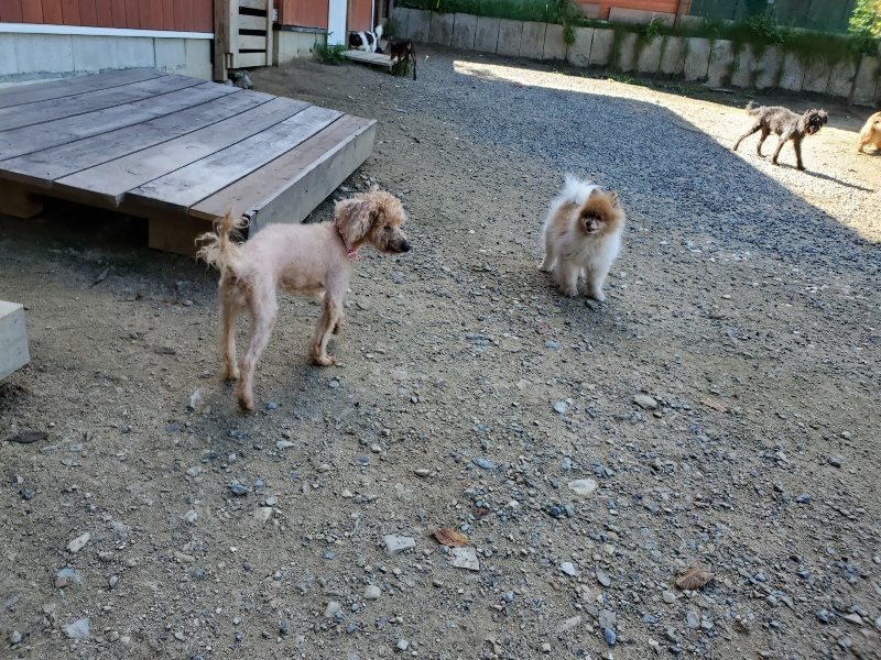 f:id:roukenhome-ann:20190909063820j:plain