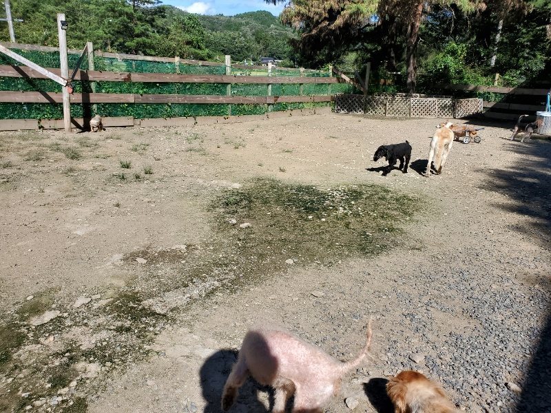 f:id:roukenhome-ann:20190909063828j:plain
