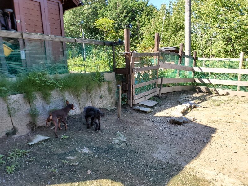 f:id:roukenhome-ann:20190909063836j:plain