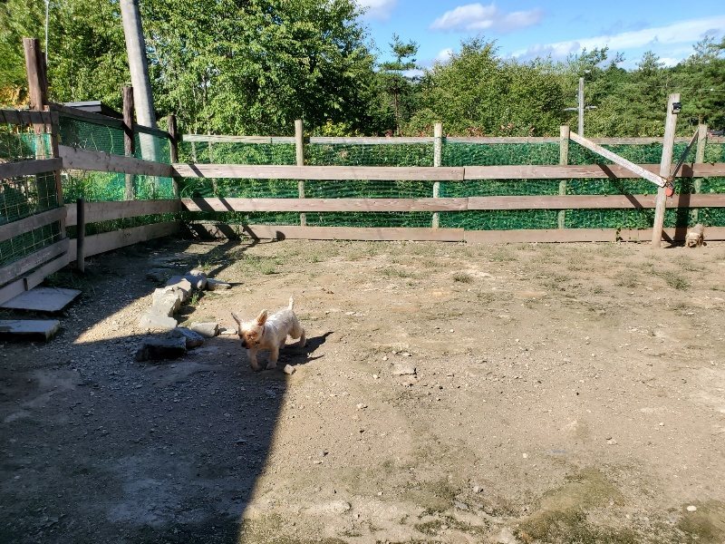f:id:roukenhome-ann:20190909063844j:plain