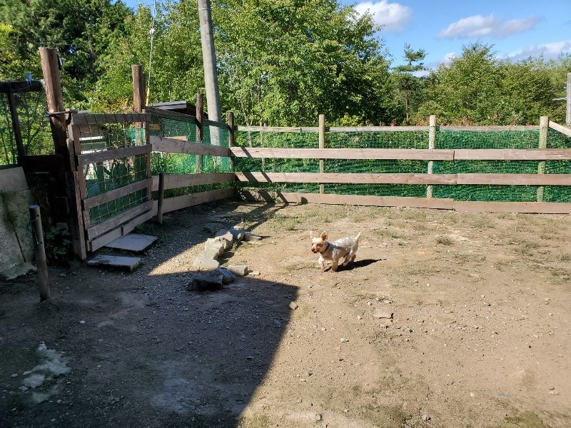 f:id:roukenhome-ann:20190909063851j:plain