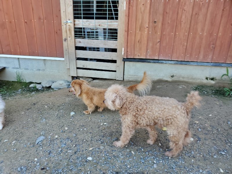 f:id:roukenhome-ann:20190909063900j:plain