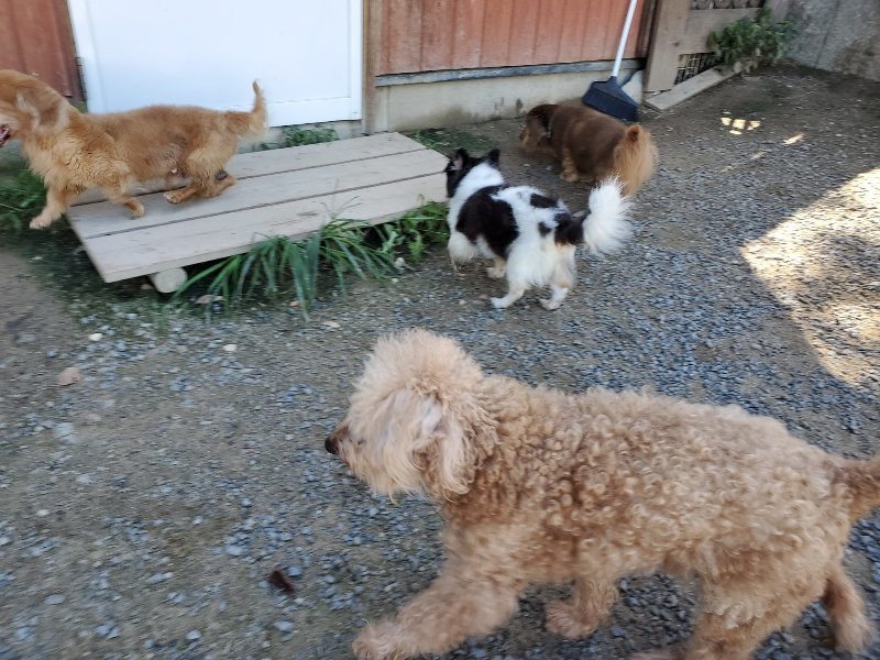 f:id:roukenhome-ann:20190909063907j:plain