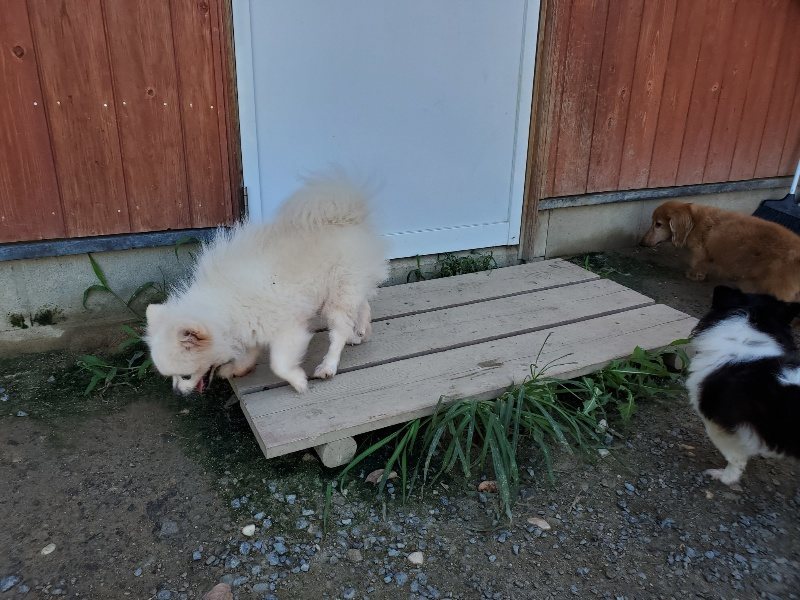 f:id:roukenhome-ann:20190909063913j:plain
