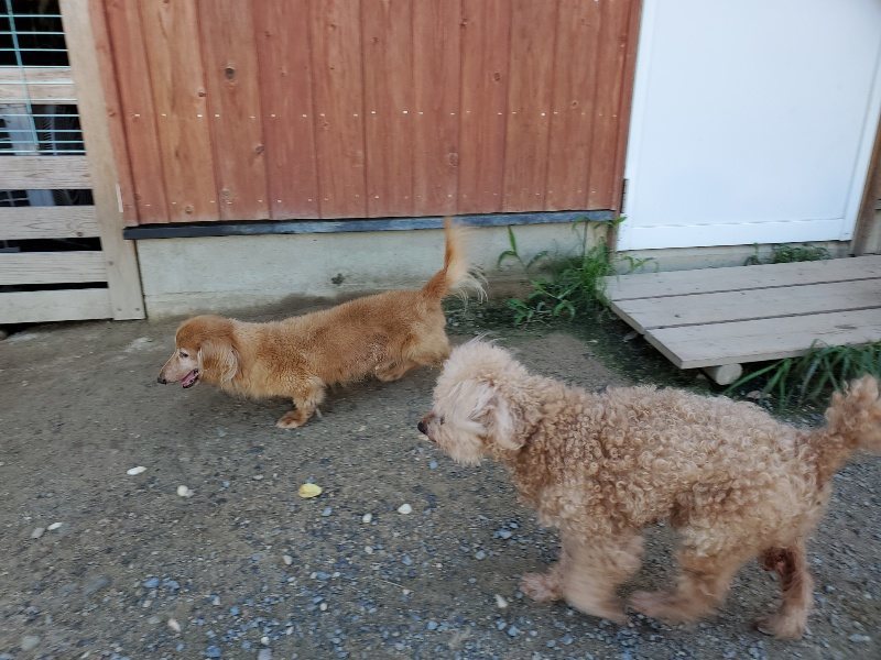 f:id:roukenhome-ann:20190909063917j:plain