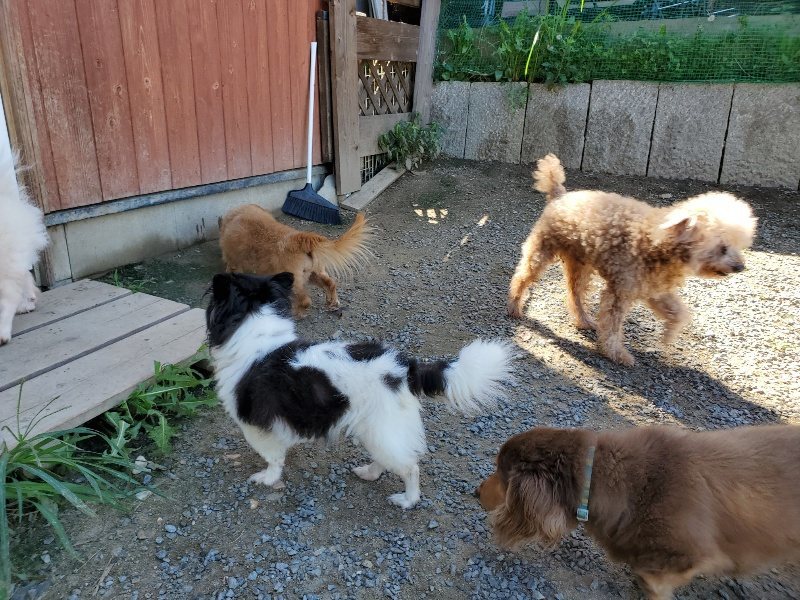 f:id:roukenhome-ann:20190909063926j:plain