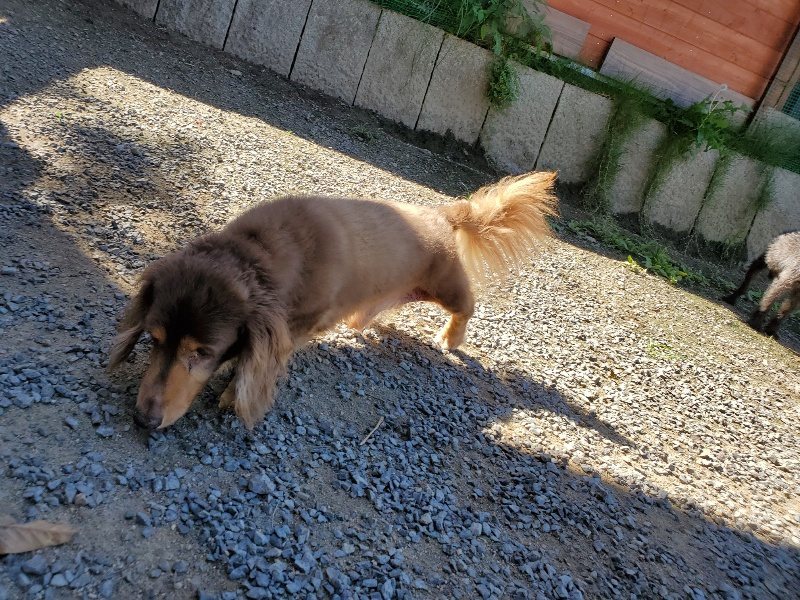 f:id:roukenhome-ann:20190909063934j:plain