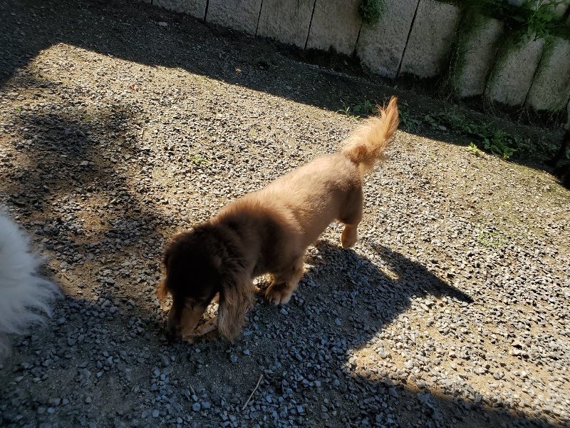 f:id:roukenhome-ann:20190909063944j:plain