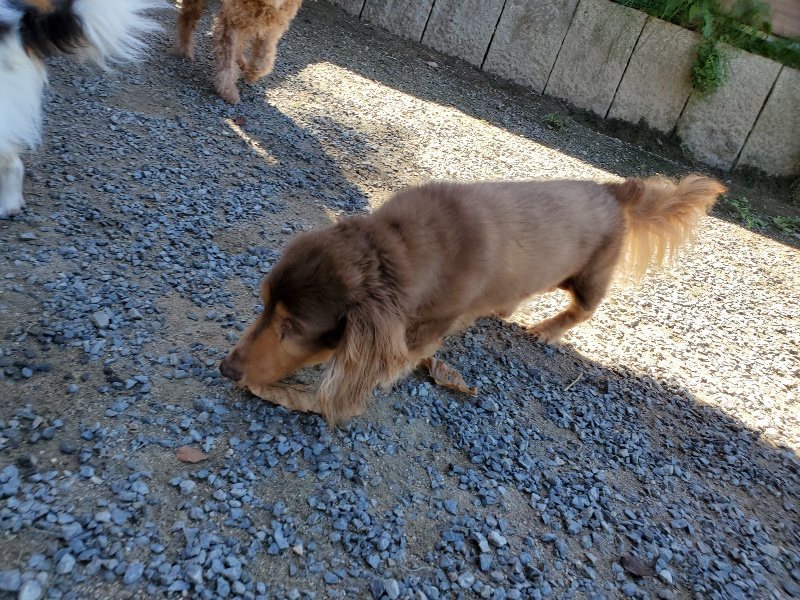 f:id:roukenhome-ann:20190909063950j:plain
