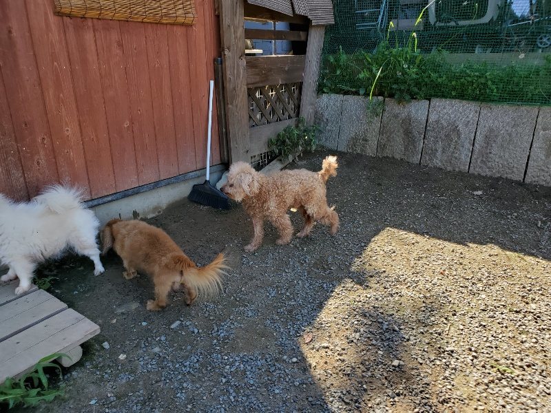 f:id:roukenhome-ann:20190909063957j:plain