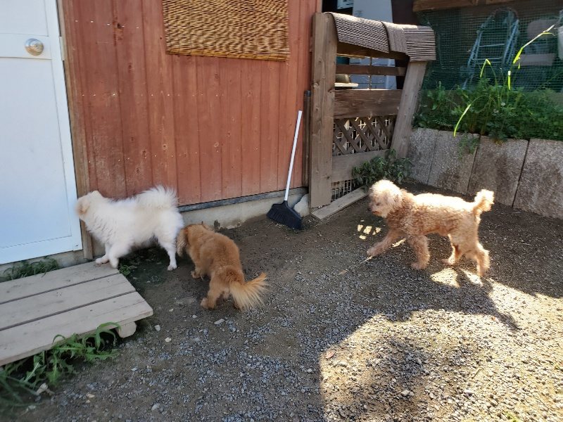 f:id:roukenhome-ann:20190909064003j:plain