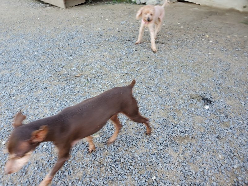 f:id:roukenhome-ann:20190909064014j:plain