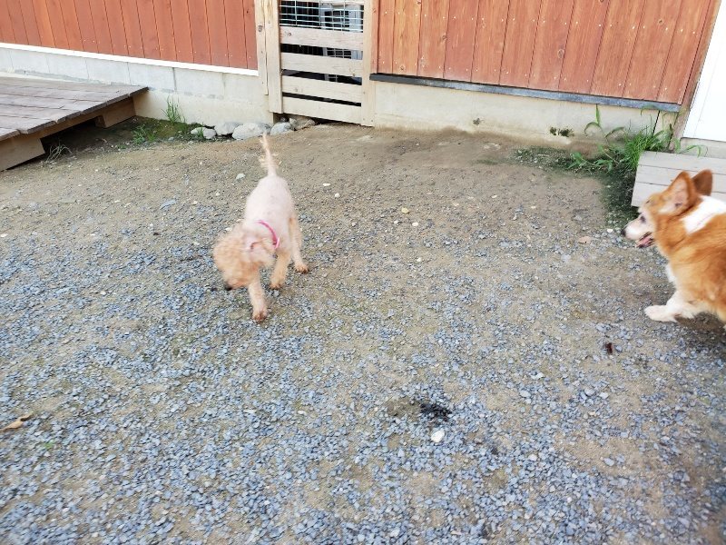f:id:roukenhome-ann:20190909064019j:plain