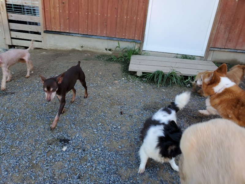 f:id:roukenhome-ann:20190909064025j:plain