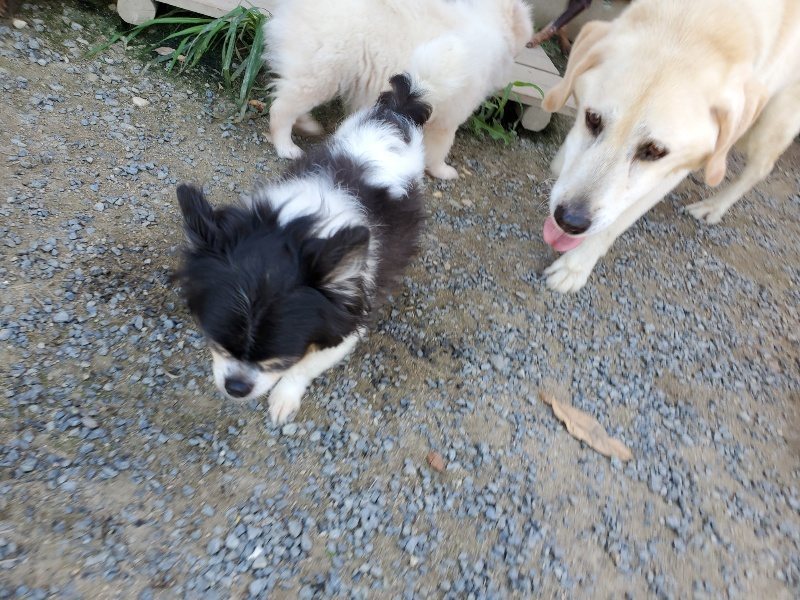 f:id:roukenhome-ann:20190909064037j:plain