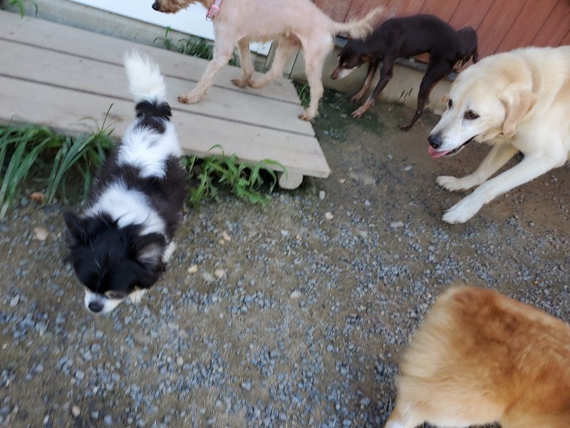f:id:roukenhome-ann:20190909064049j:plain