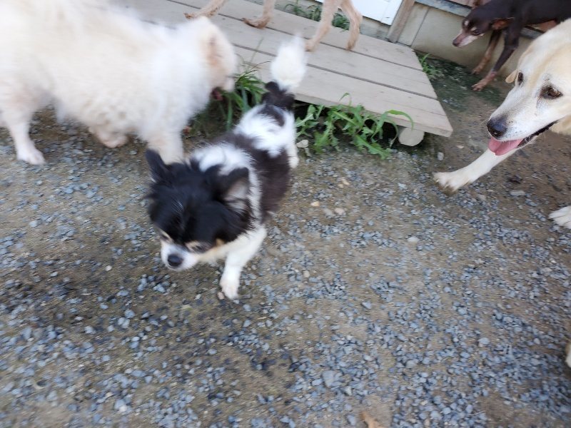 f:id:roukenhome-ann:20190909064055j:plain