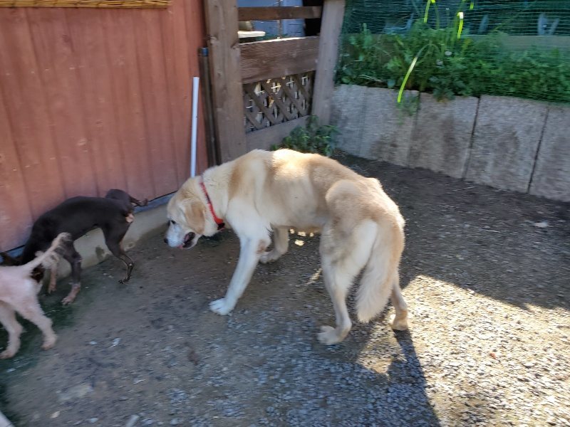 f:id:roukenhome-ann:20190909064102j:plain