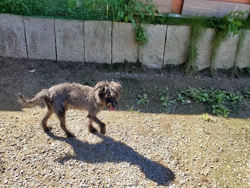 f:id:roukenhome-ann:20190909064110j:plain