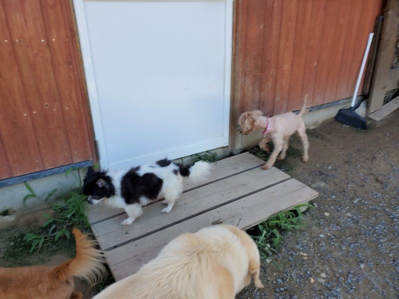 f:id:roukenhome-ann:20190909064115j:plain