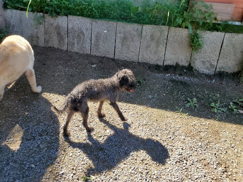 f:id:roukenhome-ann:20190909064124j:plain