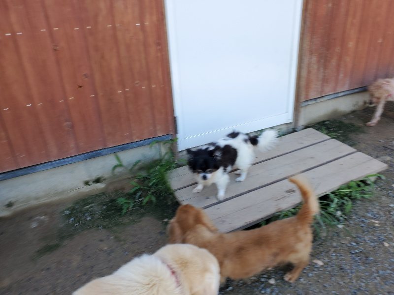 f:id:roukenhome-ann:20190909064129j:plain
