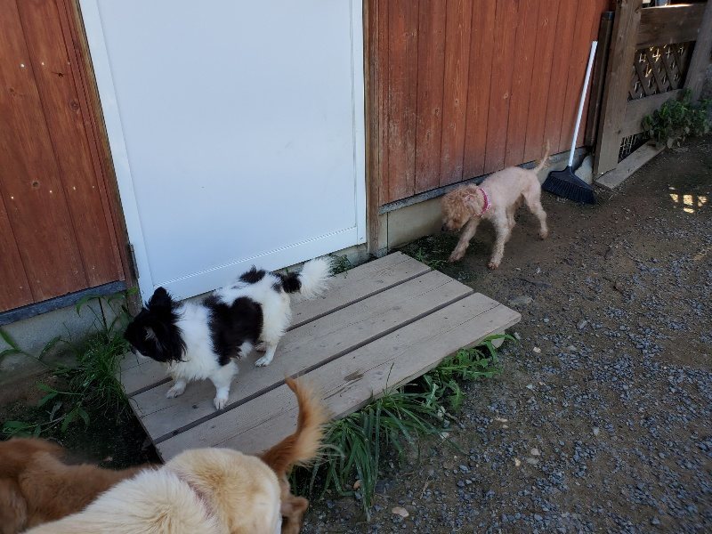 f:id:roukenhome-ann:20190909064135j:plain