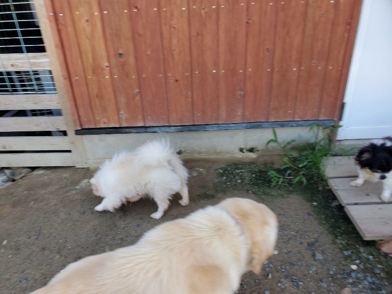 f:id:roukenhome-ann:20190909064141j:plain