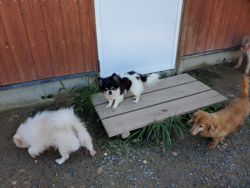 f:id:roukenhome-ann:20190909064147j:plain