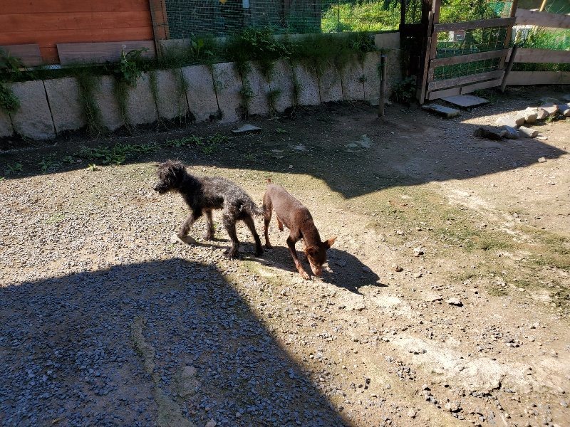 f:id:roukenhome-ann:20190909064201j:plain