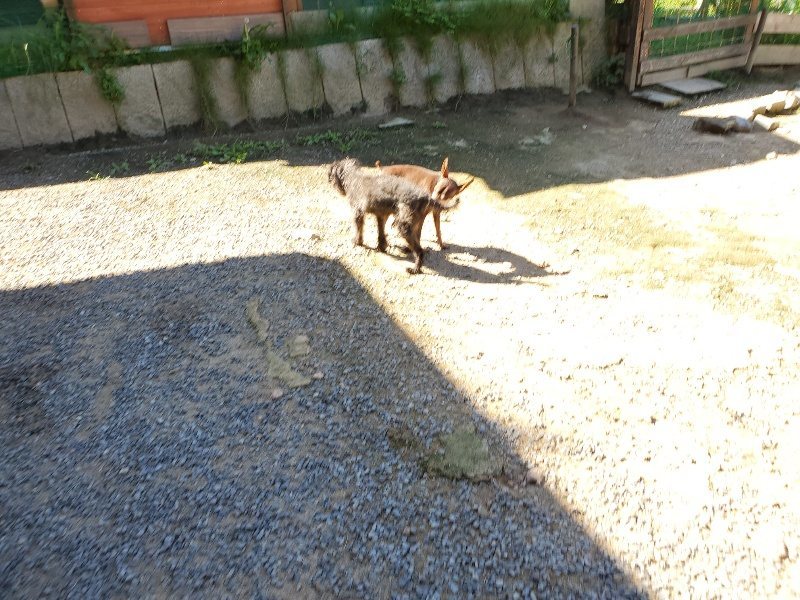 f:id:roukenhome-ann:20190909064208j:plain