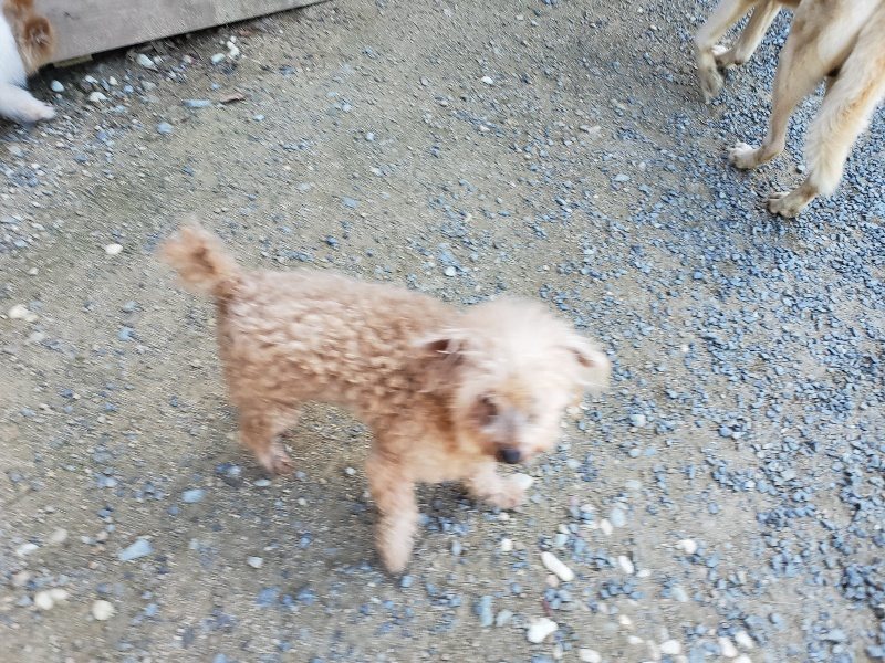 f:id:roukenhome-ann:20190909064216j:plain