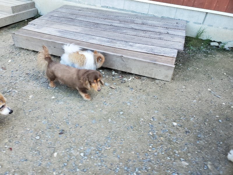 f:id:roukenhome-ann:20190909064224j:plain