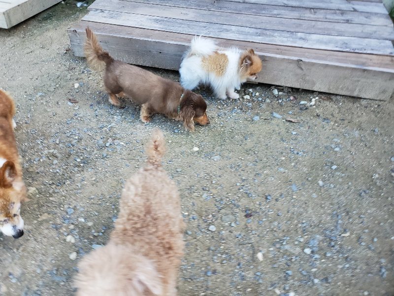 f:id:roukenhome-ann:20190909064232j:plain