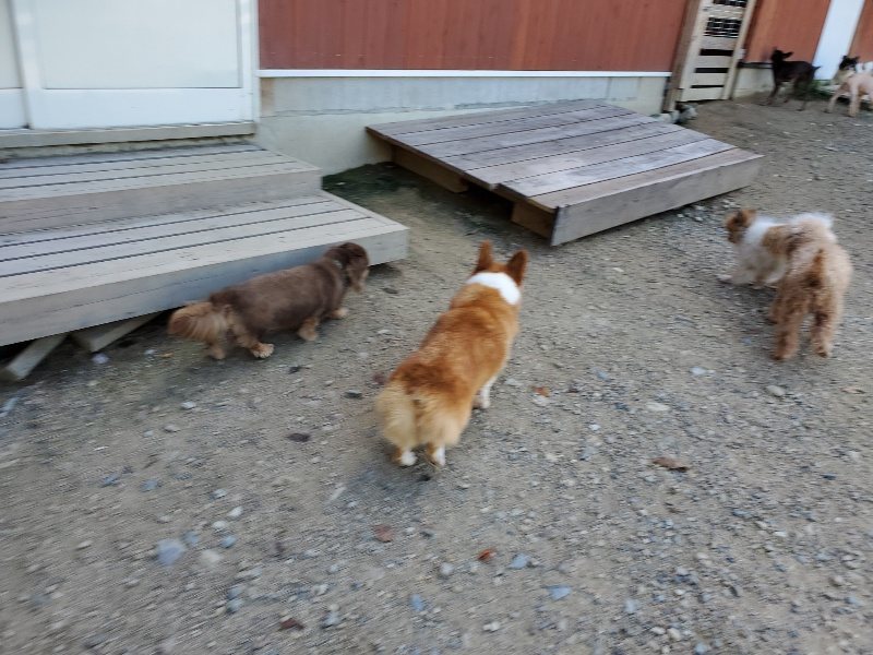 f:id:roukenhome-ann:20190909064247j:plain