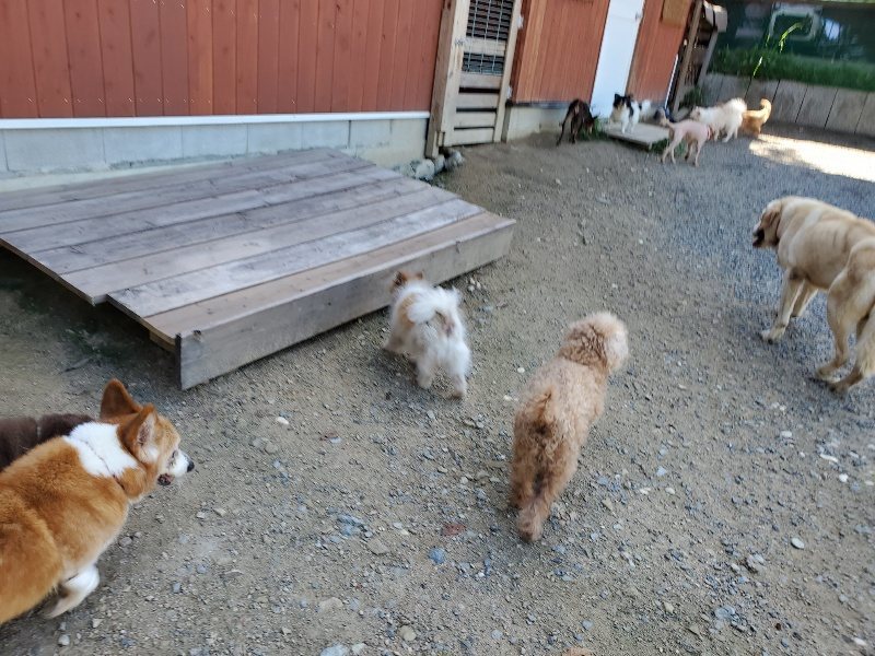 f:id:roukenhome-ann:20190909064254j:plain