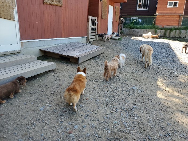 f:id:roukenhome-ann:20190909064302j:plain