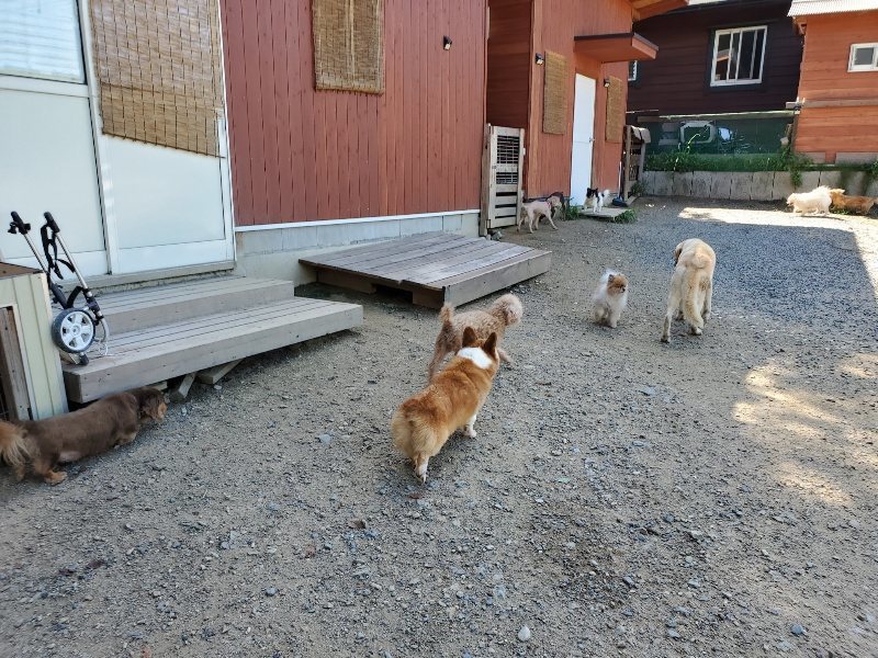 f:id:roukenhome-ann:20190909064309j:plain