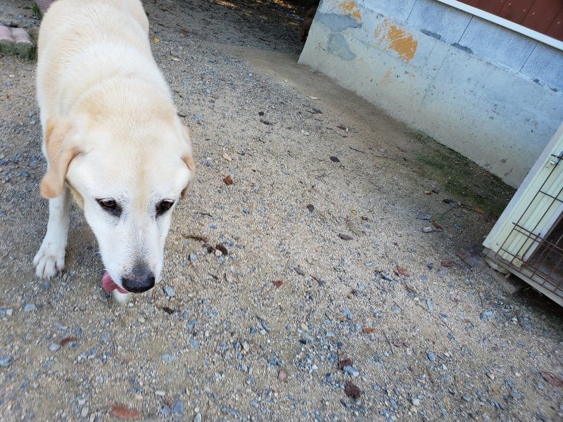 f:id:roukenhome-ann:20190909064333j:plain