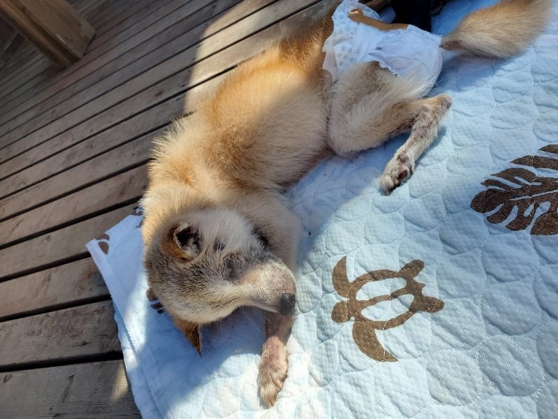 f:id:roukenhome-ann:20190909064505j:plain