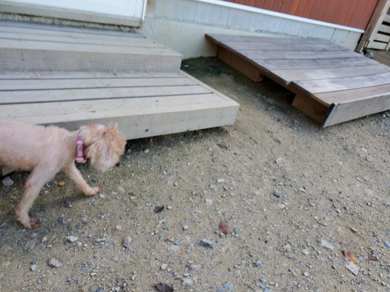 f:id:roukenhome-ann:20190909064526j:plain