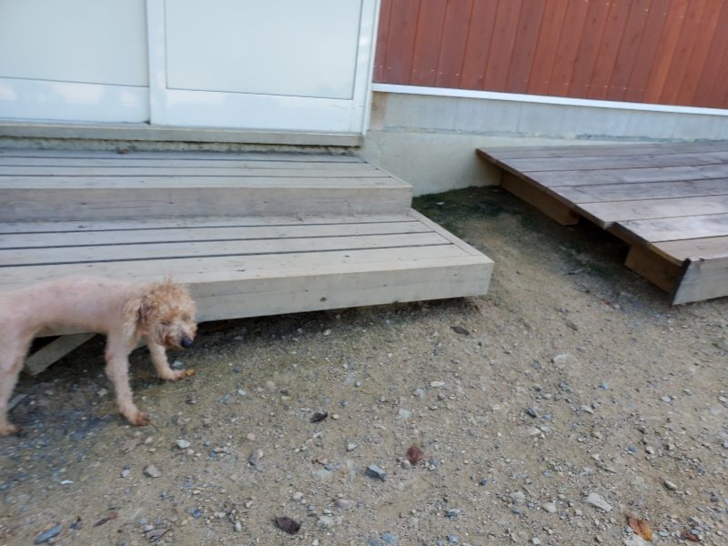 f:id:roukenhome-ann:20190909064539j:plain