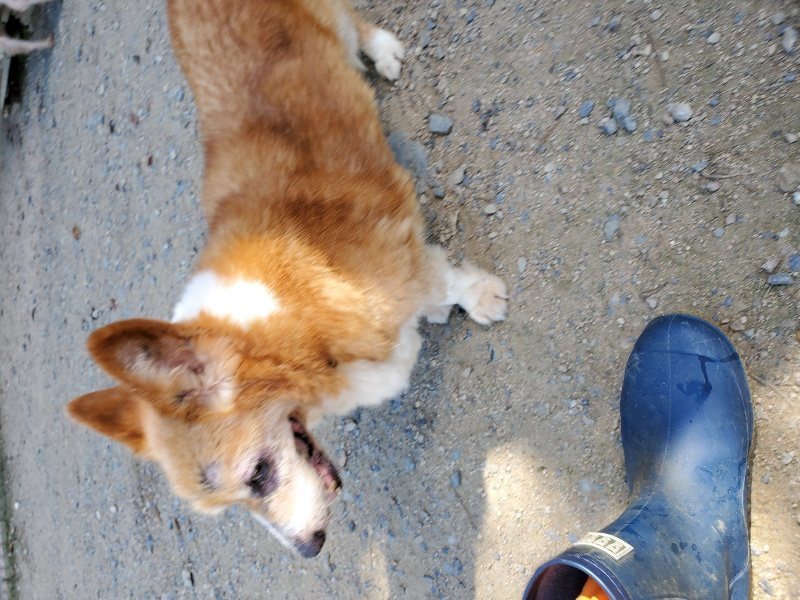 f:id:roukenhome-ann:20190909064550j:plain