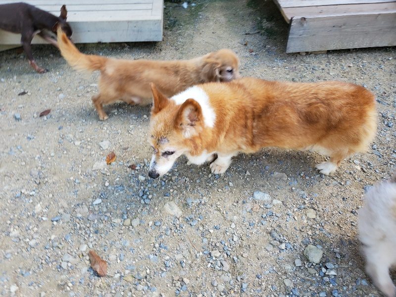 f:id:roukenhome-ann:20190909064610j:plain