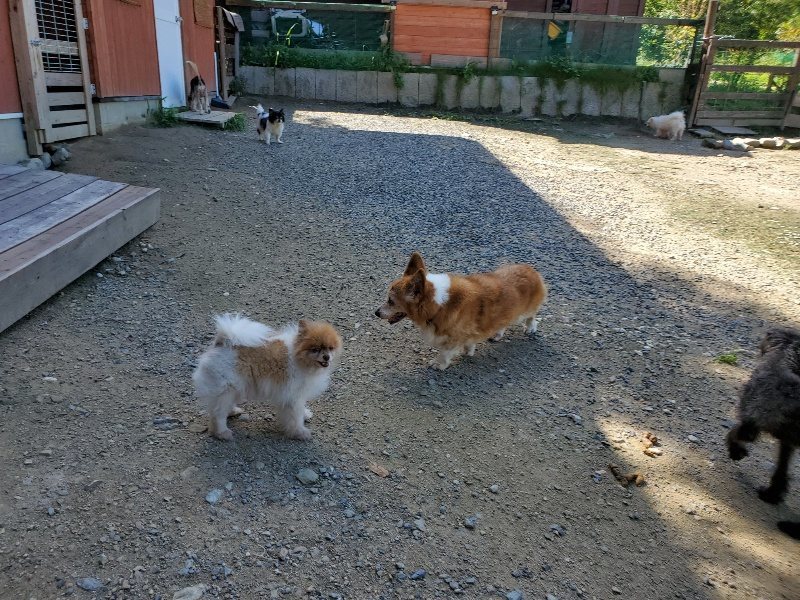 f:id:roukenhome-ann:20190909064620j:plain