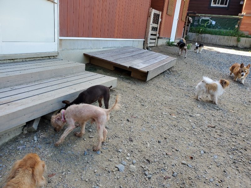f:id:roukenhome-ann:20190909064634j:plain