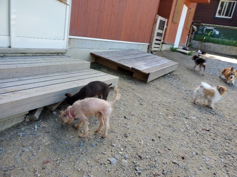 f:id:roukenhome-ann:20190909064641j:plain