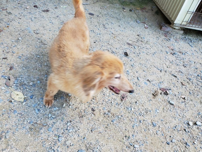 f:id:roukenhome-ann:20190909064649j:plain